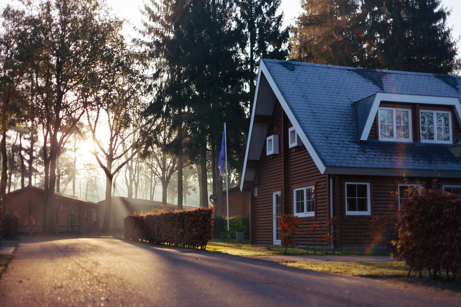 Ridge House at dusk, a timber house at the edge of the forest